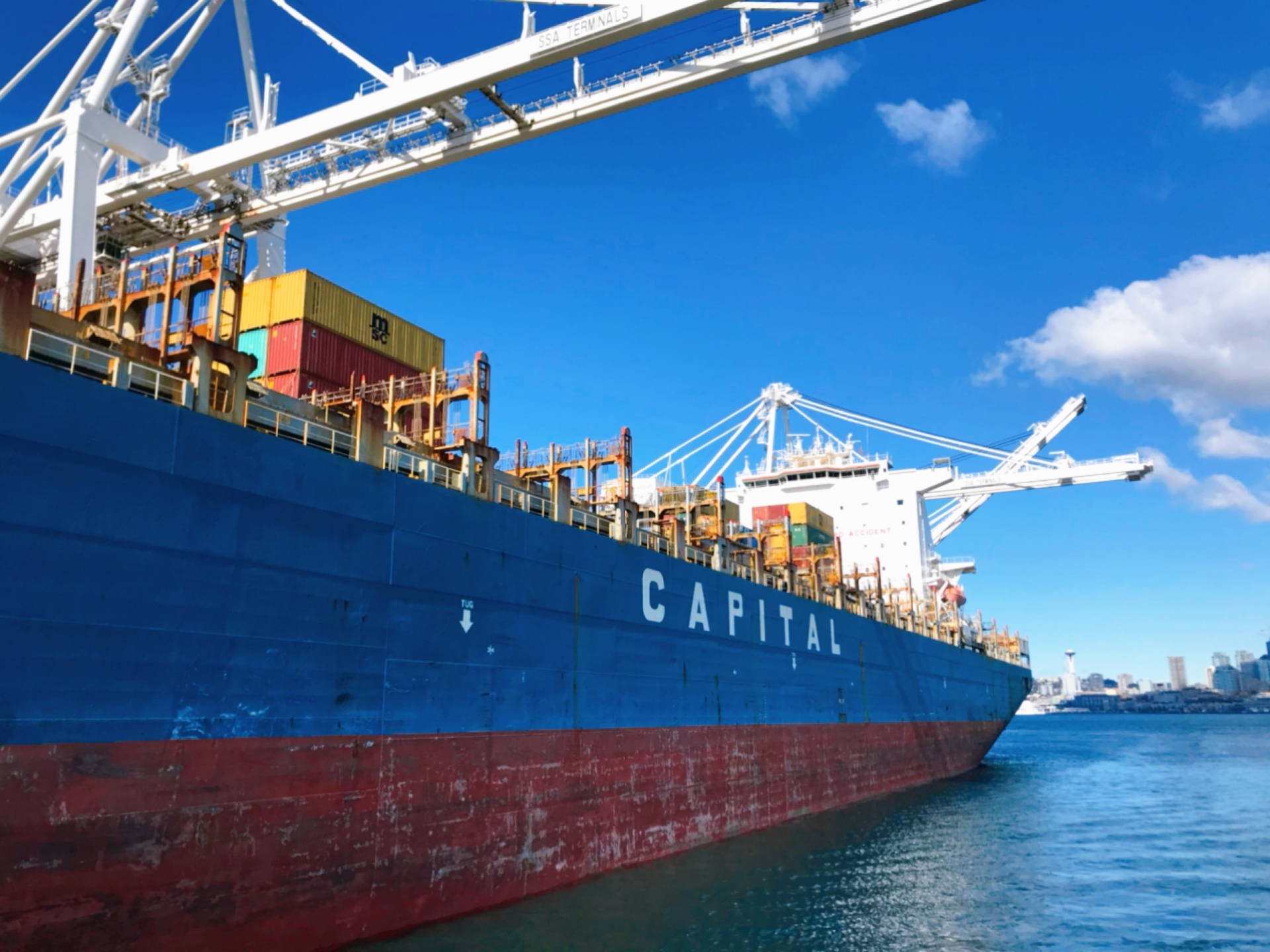 海外展開の写真